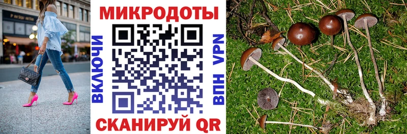 кракен маркетплейс  Трубчевск  Псилоцибиновые грибы Cubensis 